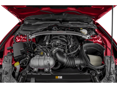 2019 Ford Mustang Shelby GT350