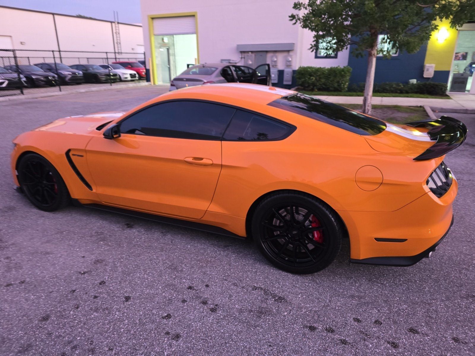 2019 Ford Mustang Shelby GT350