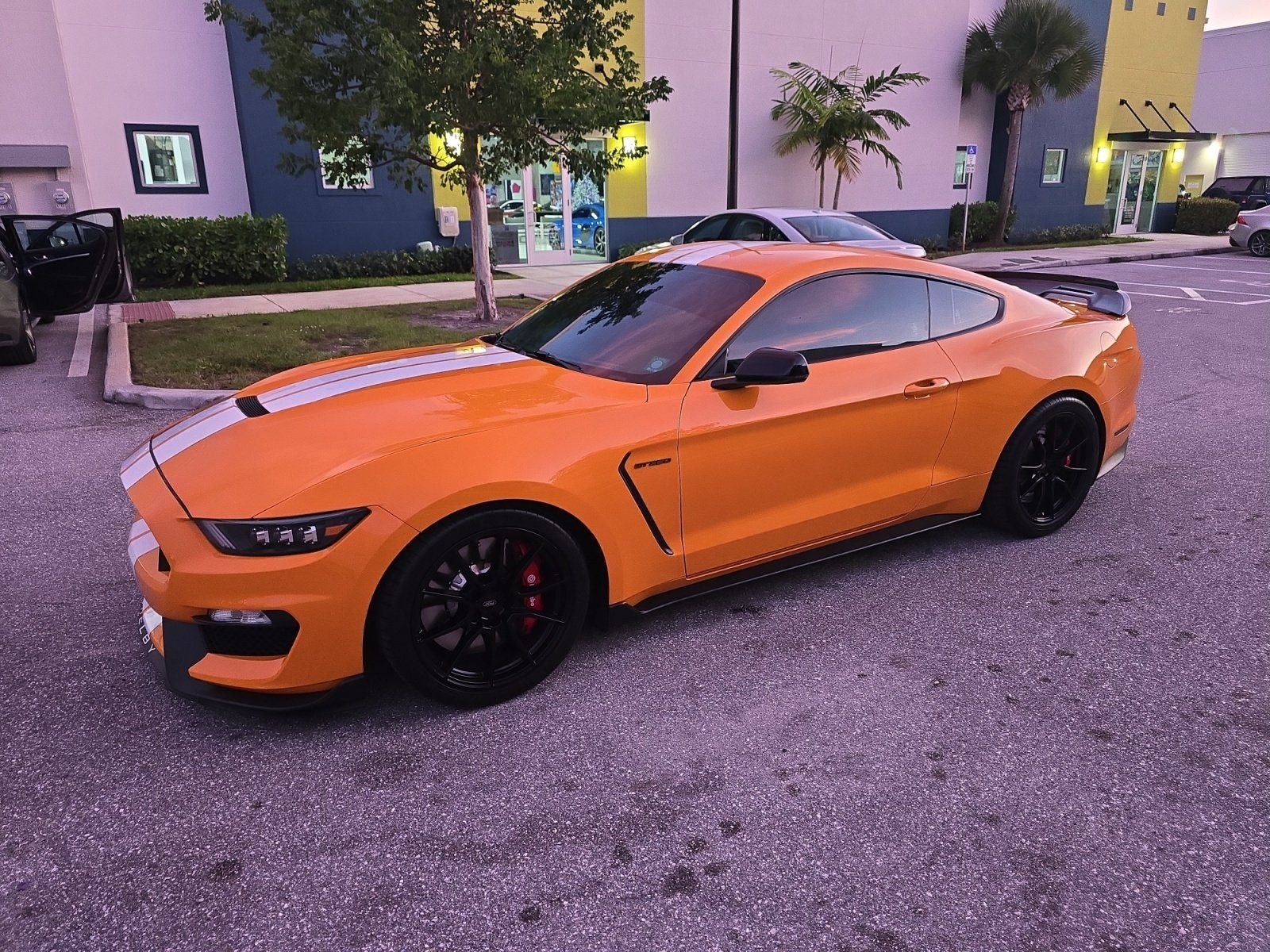 2019 Ford Mustang Shelby GT350